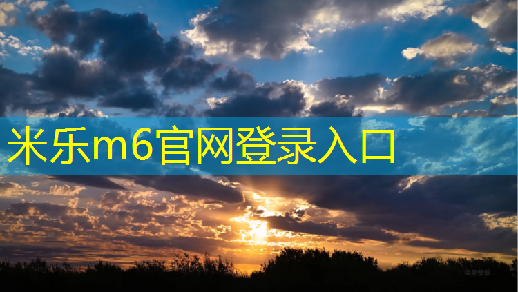 米乐为您介绍：网球网子原版