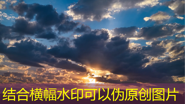 室内健身打卡记录
