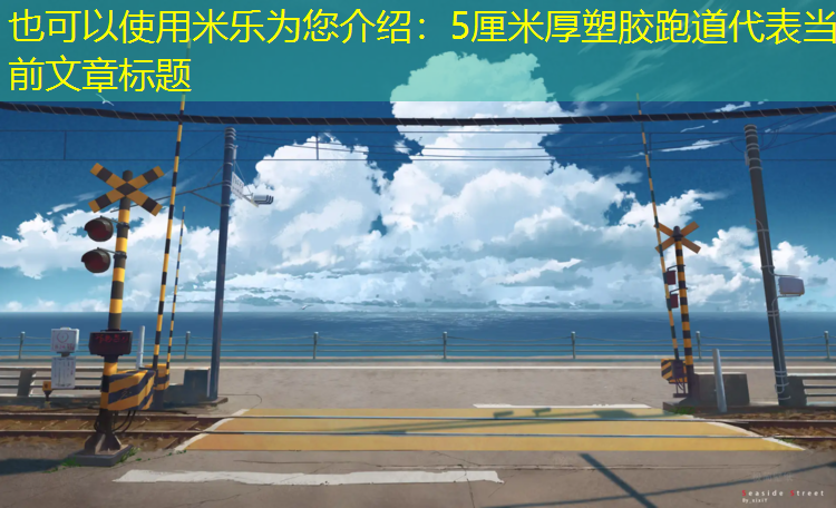5厘米厚塑胶跑道